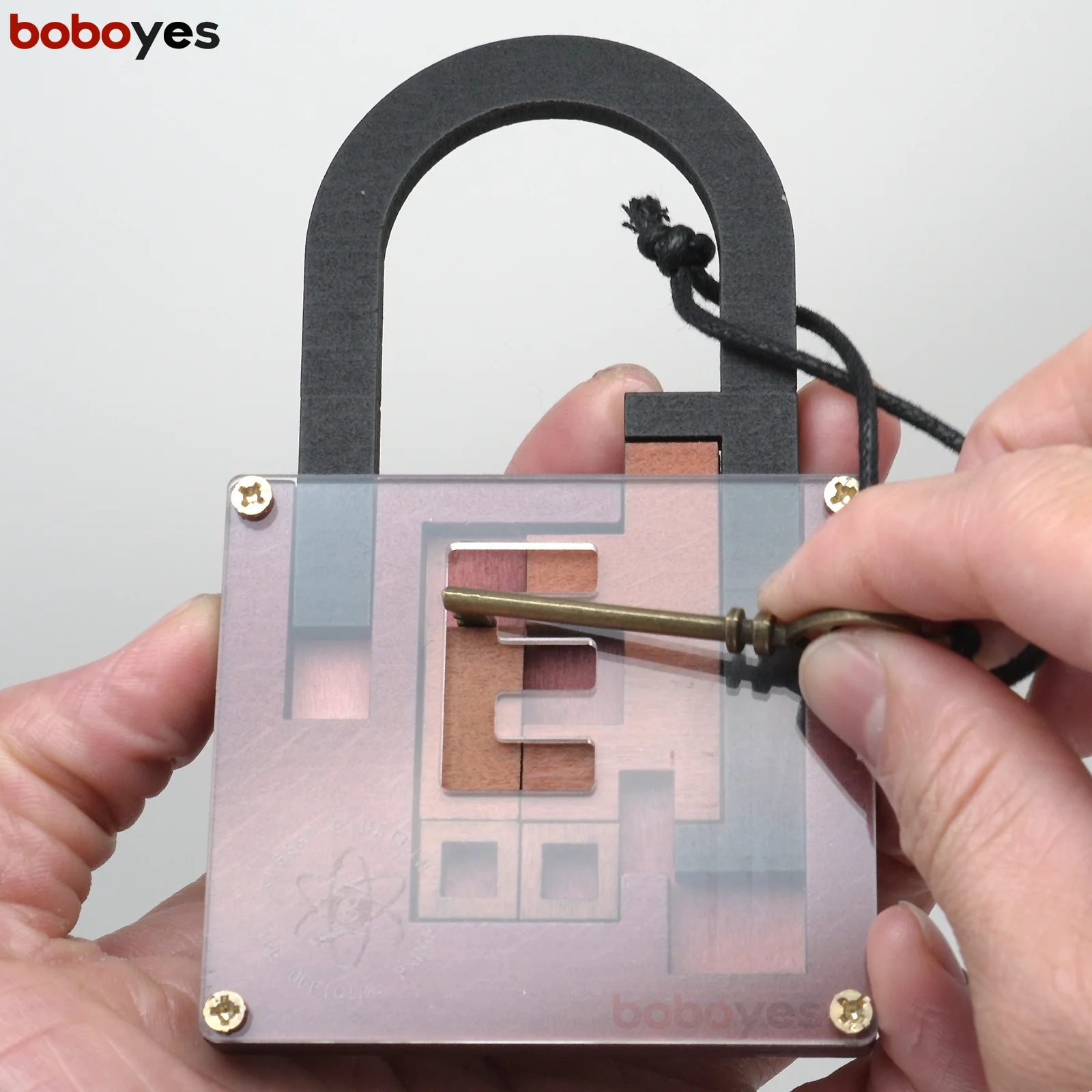 High Difficulty Level IQ Lock Puzzle Classic Wooden Brainteaser Puzzles Game for Adults The Einstein Collection Lock Puzzle