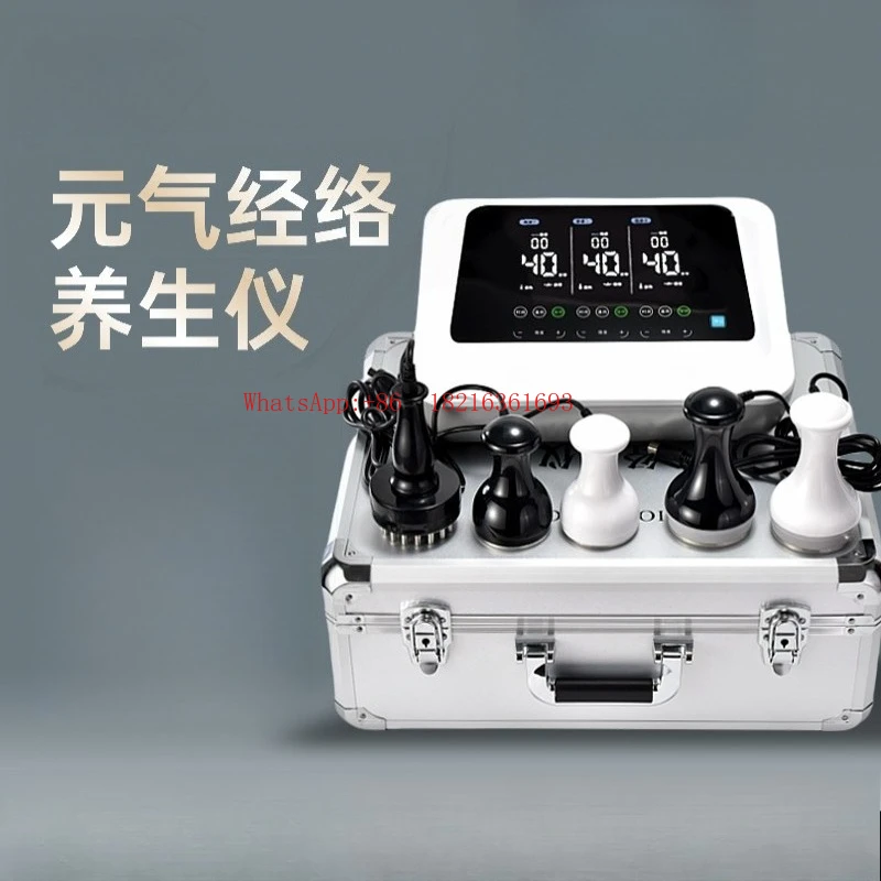 Vitality Meridian Instrument Plant Value Unclogging Physiotherapy BIO Bioelectricity CN Pulse Household