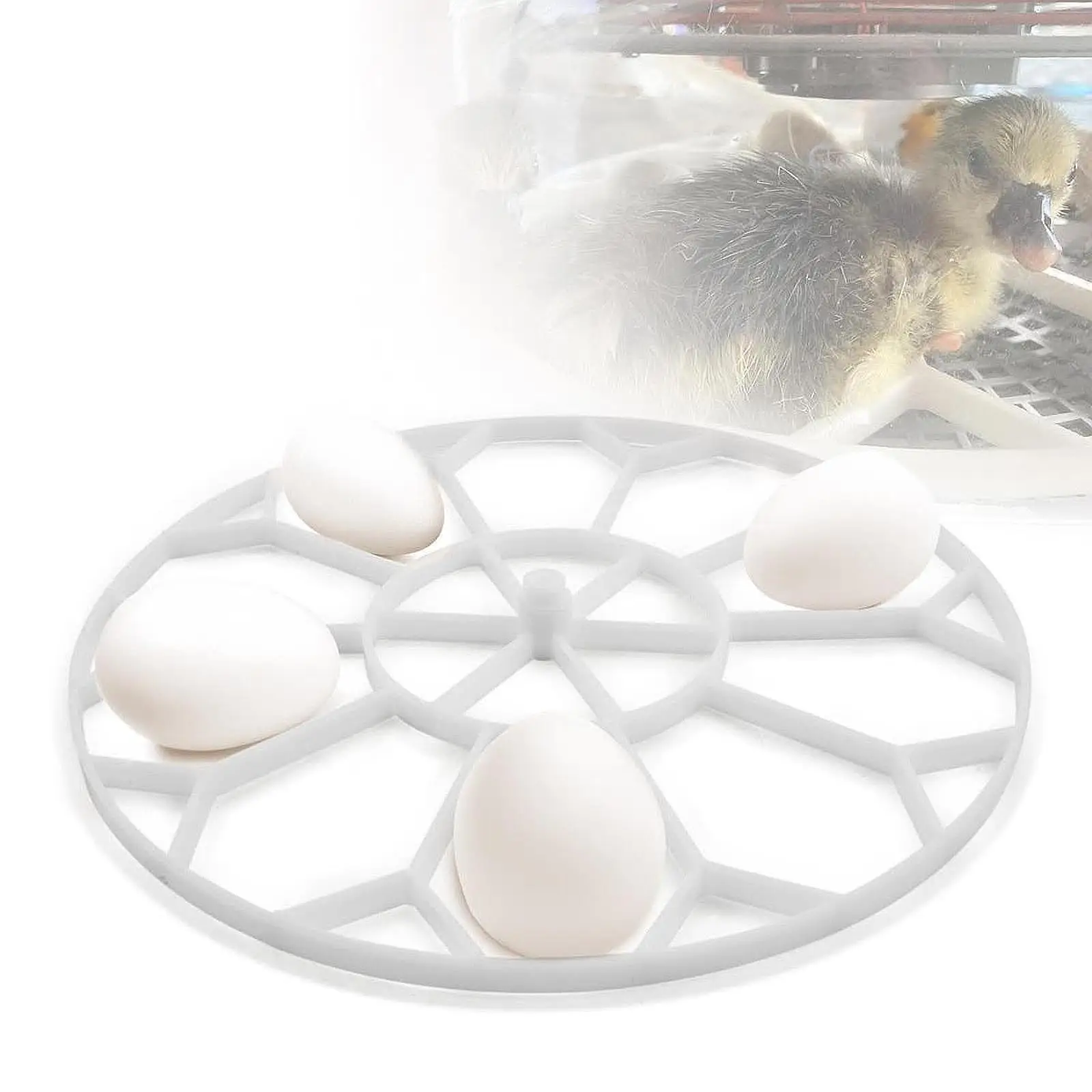 

Лоток для инкубатора емкостью 10 гусиных яиц, легкий аксессуар, белая замена 310x30 мм