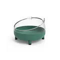Dark green
