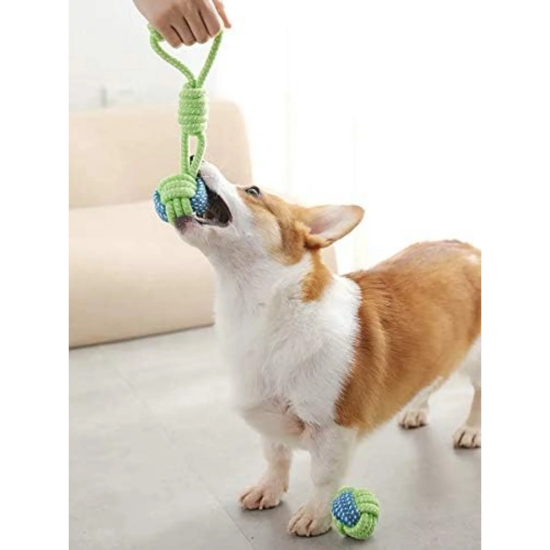 Экологичные игрушки из хлопковой веревки, игрушка для собаки с веревочным узлом, устойчивая к укусам, игрушка для средних/маленьких собак