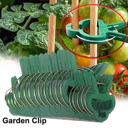 100PCS Reusable Green Garden Plant Fixed Clips for Greenhous Vegetables Flowers Stem Vines Grape Clamp Support Fastener Tools