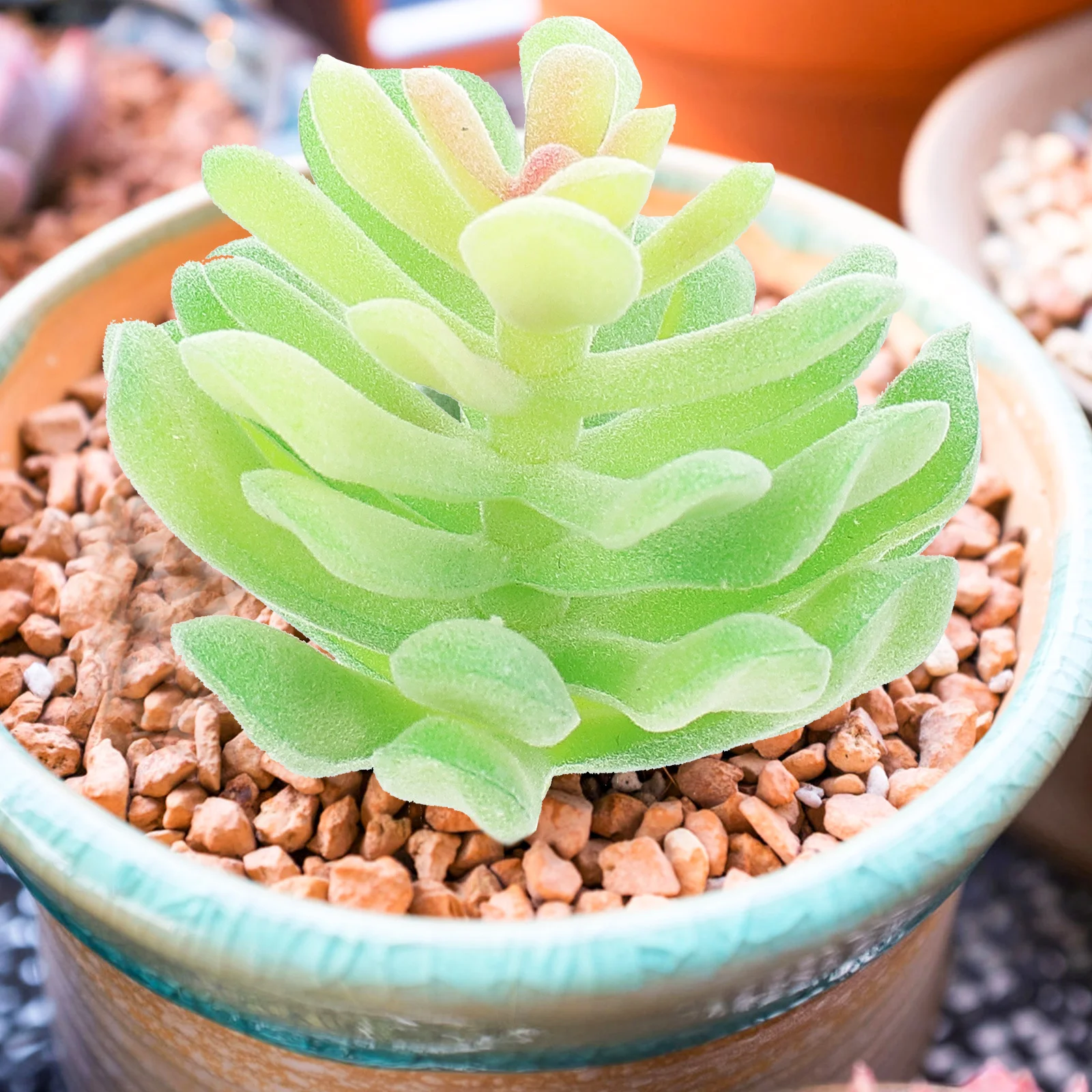 

13pcs Artificial Succulent Plants Realistic Fake Arrangement For Diy Home Decor Simulation Plant Picks Succulent Decor Scene