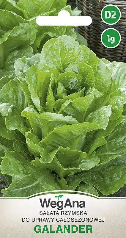 Galander romaine lettuce 1G WegAna vegetable lettuce seeds