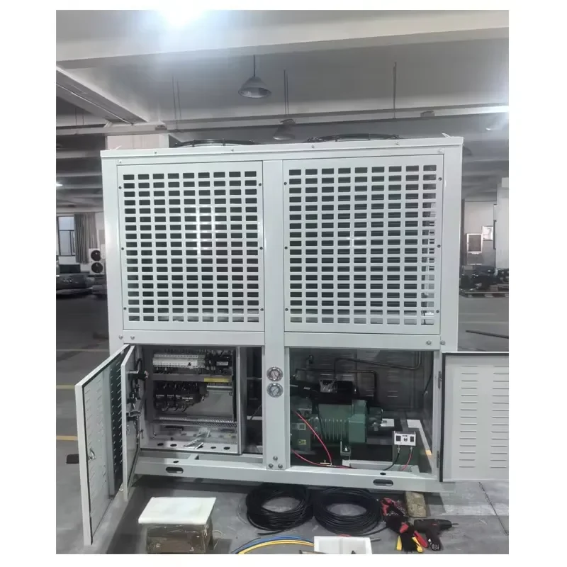 Industrial Refrigeration Storage Hot Defrost Condensing System Cold Frozen Room Set Compressor Daikin Engine