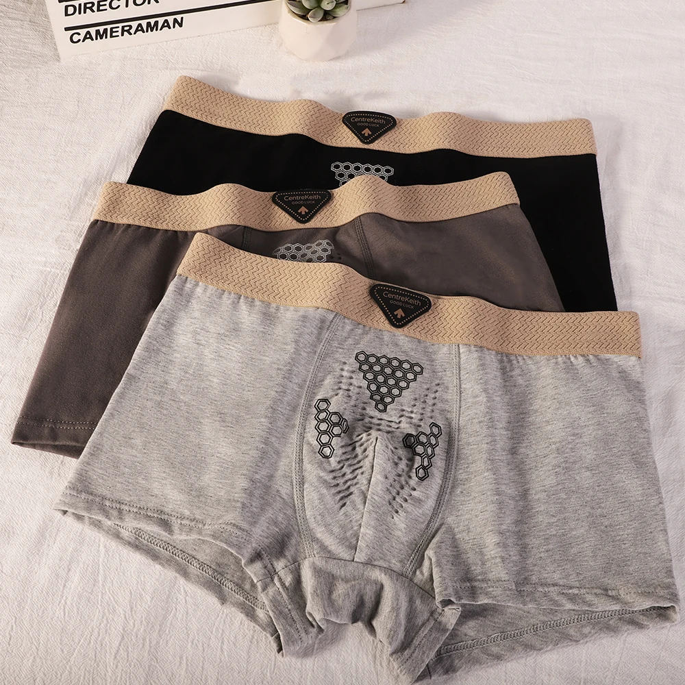 

3PCS/Pack Massage Hygroscopic Breathable Mesh Pouch Men's Panties Solid Knit 100% Cotton Boxers Man Soft Comfortable Underwear