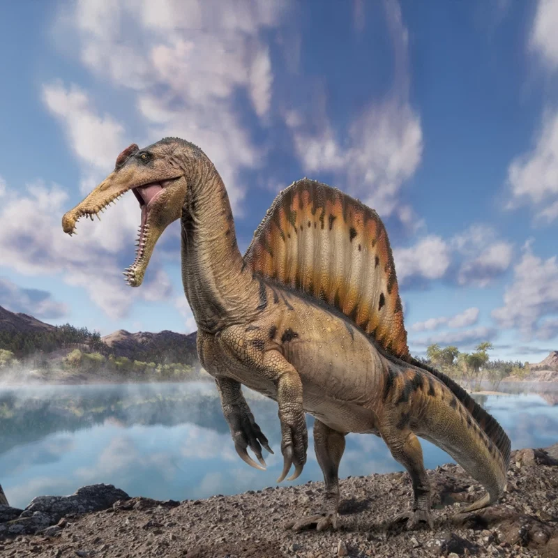 

Dinosaur Museum Spinosaurus Eman And Spinosaurus skull 1:35 Scientific and Artistic Model Collect Ornaments Festival Gift Friend