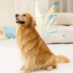 Electric Butterfly Wings Luminous Toy Butterfly Back Flower Fairy pet accessories dog accessories pet supplies