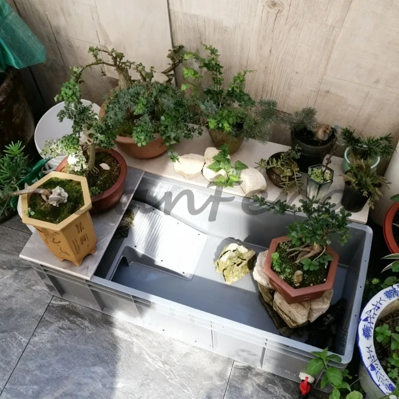 Large Thickened Turtle Tank, Amphibious Ecological Terrarium with Drainage, Turtle Breeding & Transport Box