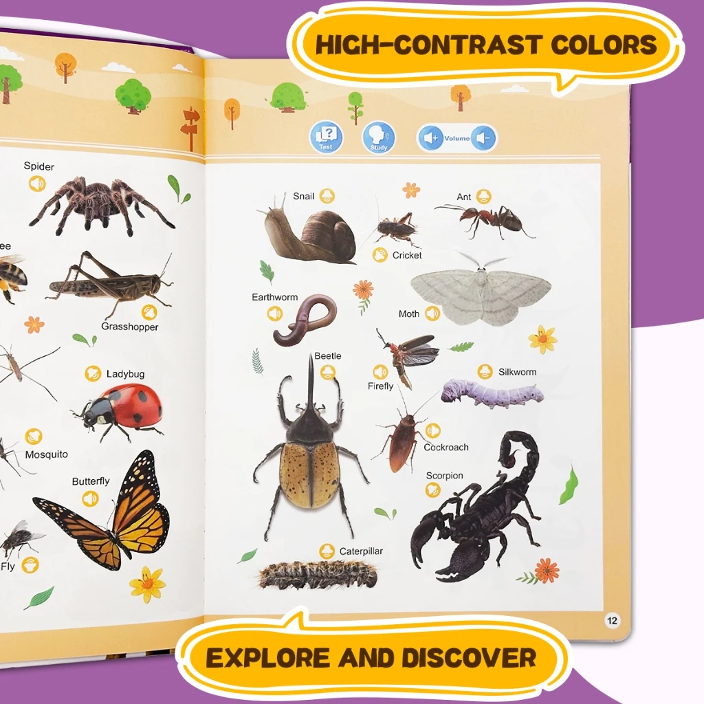 Meu Primeiro Livro de Palavras - Kids Early Education avaliação e preço
