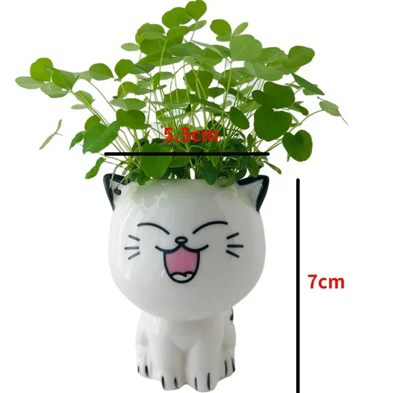 4pc Ceramic Flowerpot Mini Cat Cartoon Cute Plant Desktop Potted Plant Pot DIY Decorate Toys Science