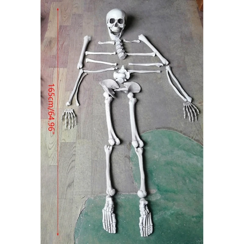 28 PCS Skeleton Bone and Skull Realistic Skeleton Bone Statue Plastic Material