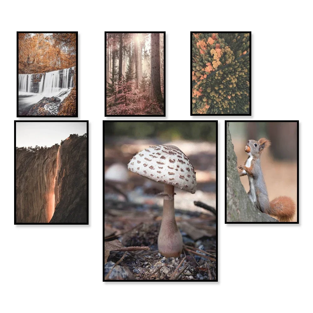 nature print, forest wall art, squirrel print, yosemite travel landscape modern minimalist poster, gable art, waterfall print