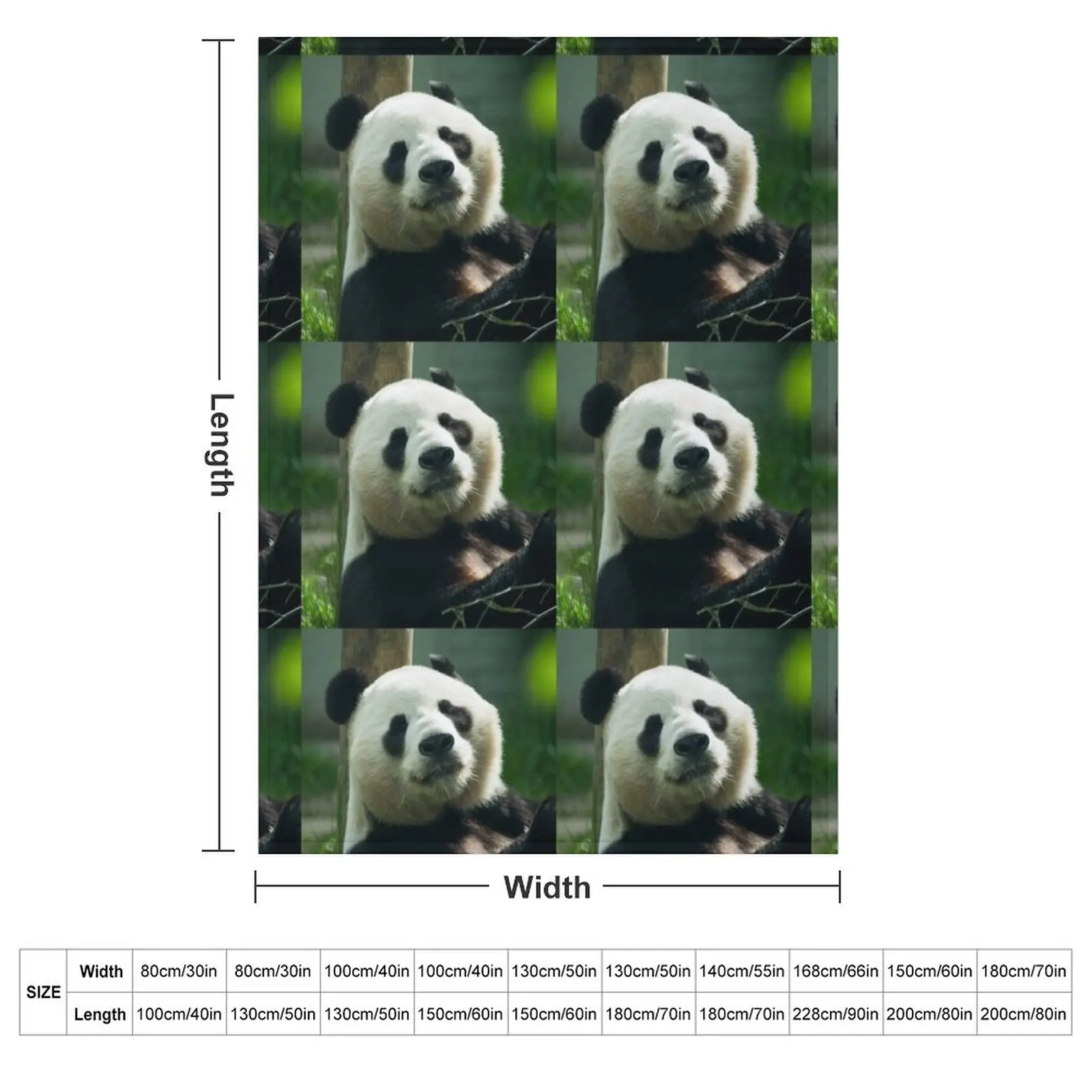 Sunshine the Panda Throw Blanket Summer halloween Cute Beautifuls Blankets