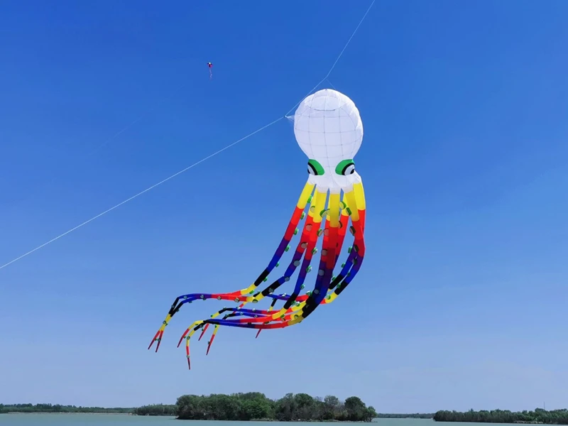 13m grandi aquiloni polpo per giocattoli volanti per adulti mulinello per aquiloni ripstop nylon kevlar cerf volant professionale parplan cerchio per aquiloni pipa