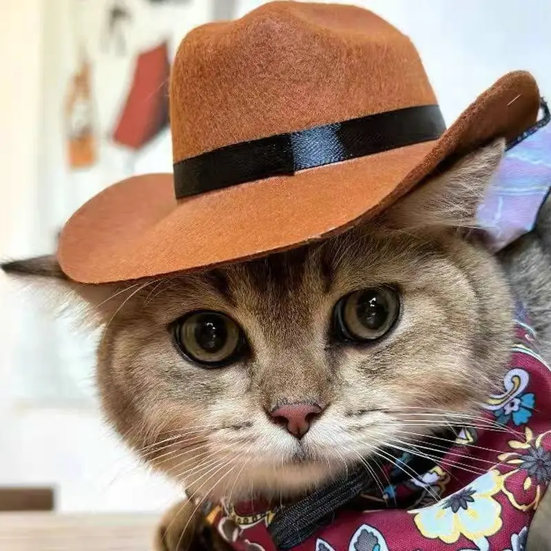 British Pet Dog Hat Cowboy Hat Pet Supplies Adjustable Dog Costume Top Hat Headwear Pet Hat Dogs Caps Pet Sun Hats For Cats