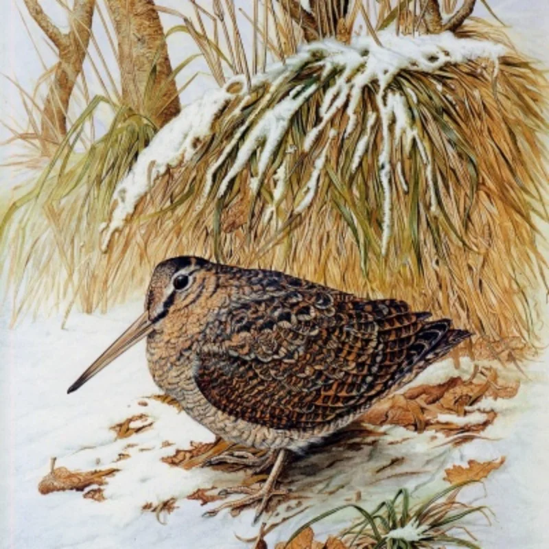 

Accessories Front Rear Shaft Upgrade Parts for MN99 MN99S MN90 MN96 RC Car