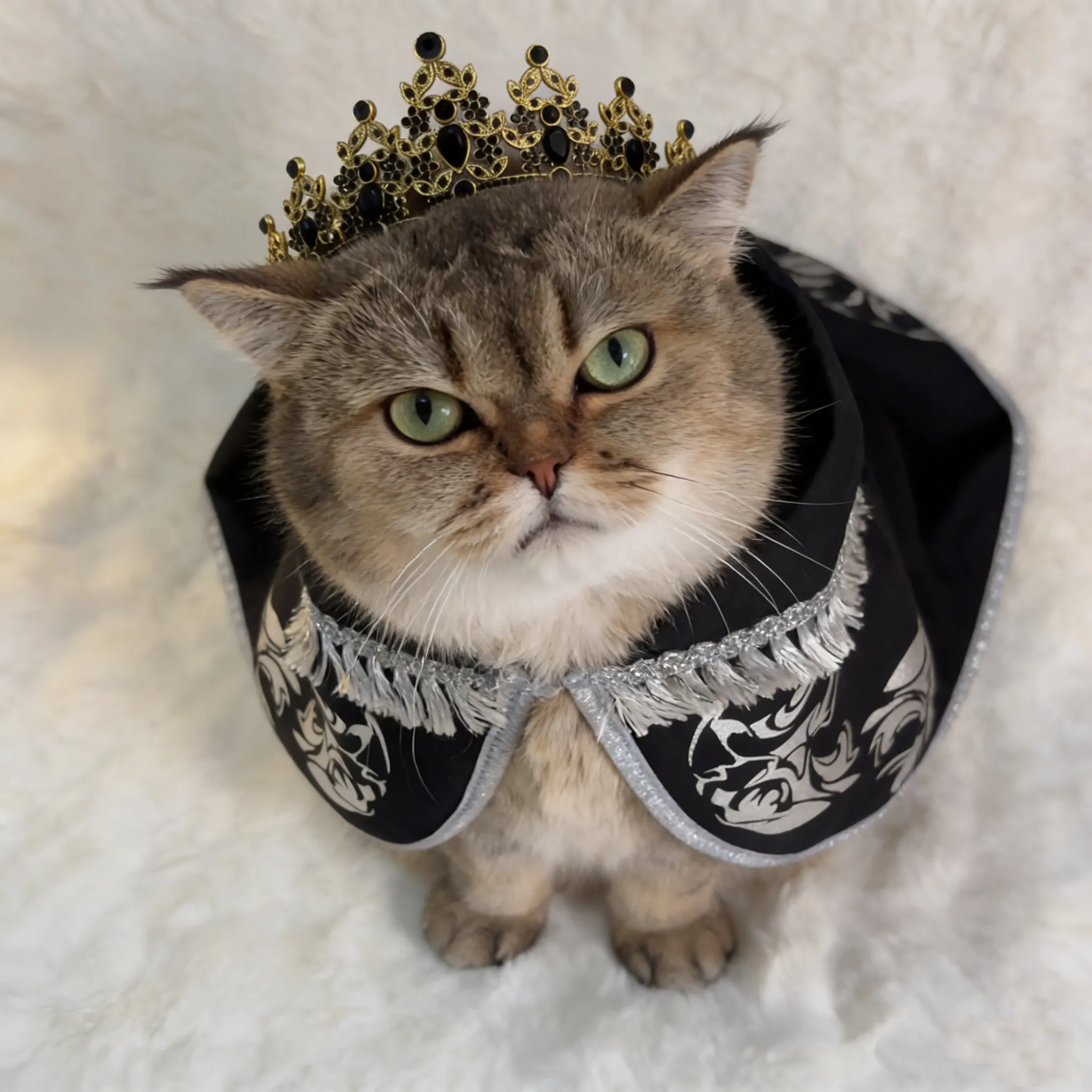 Cute Cat Cross Dressing Cloak Crown Set Dark Style Pet Photography Props Creative Abstract Cat Clothes Fun Accessory