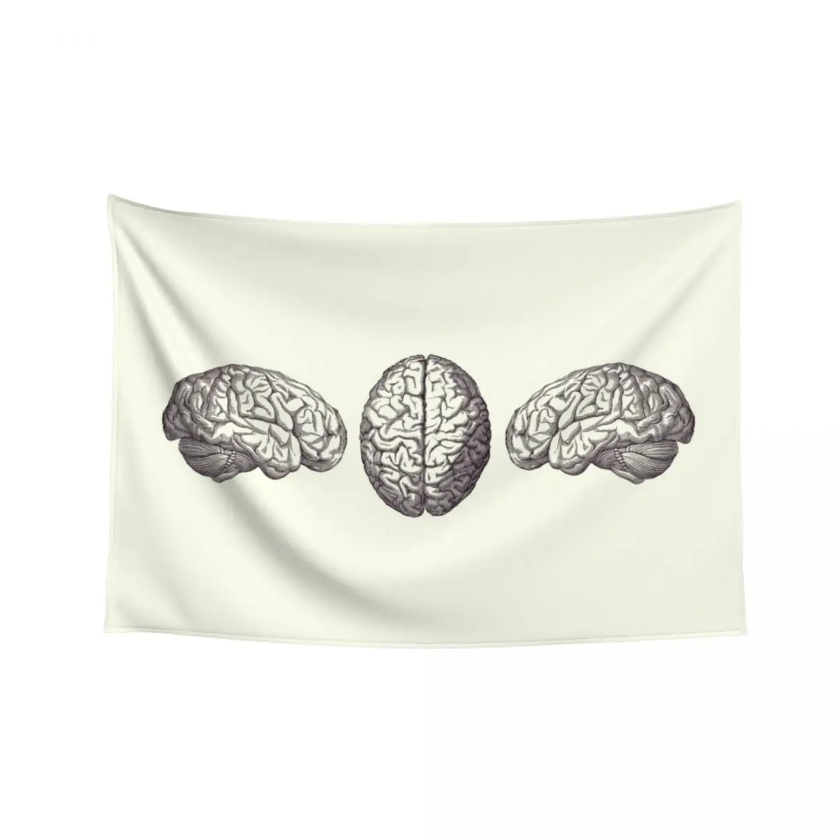 

Human Brain - Triple View - Vintage Anatomy Print 2 Tapestry Aesthetic Room Decorations Room Decoration Aesthetic Tapestry