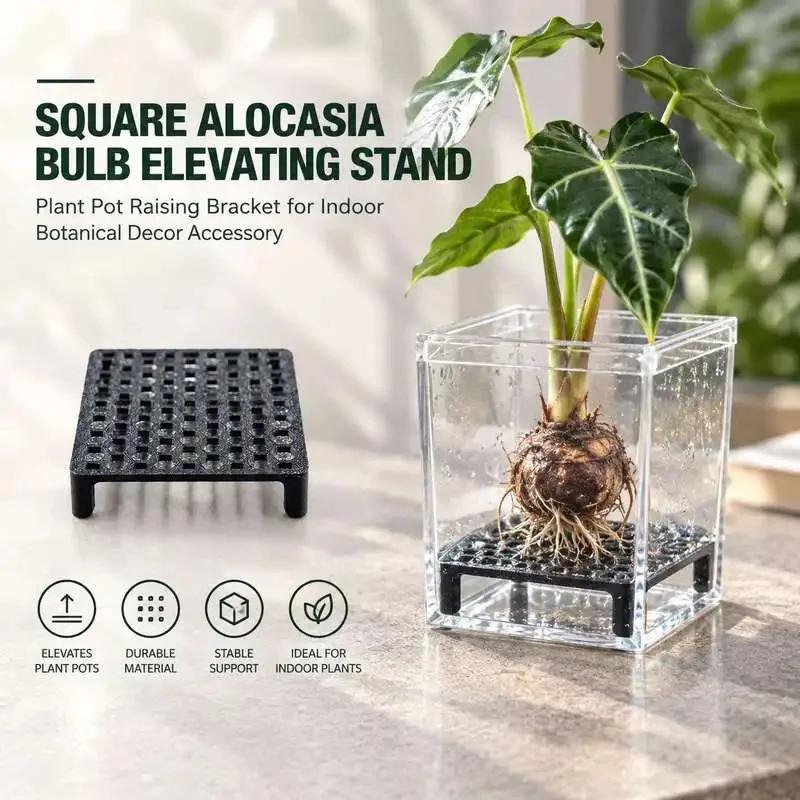 Alocasia Corm Riser Square Mesh Stand for Plant Propagation Raised Platform Insert for Indoor Growing Containers Gardening Tools