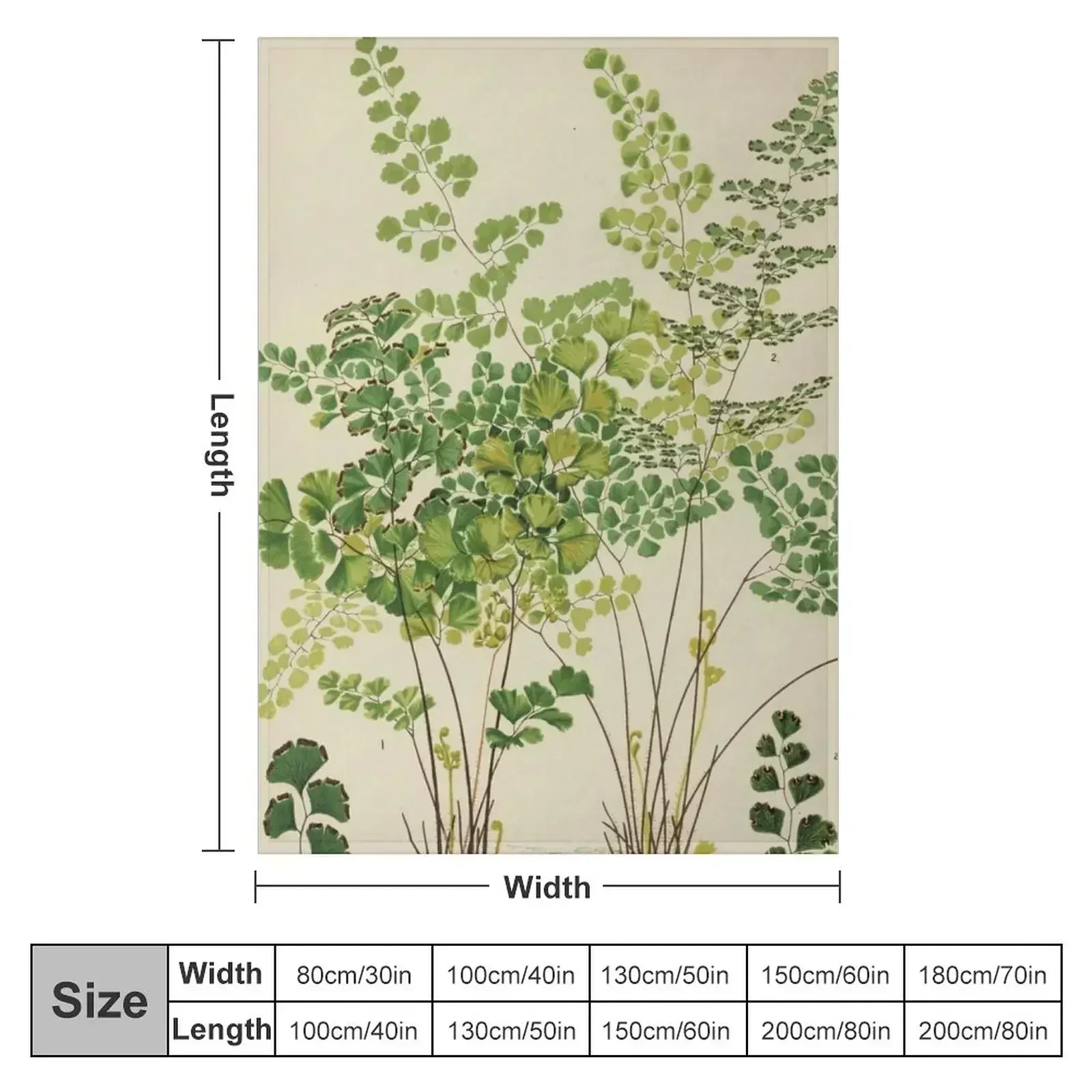Maidenhair Ferns Throw Blanket couch cozy soft plush fuzzy picnic outdoor blanket