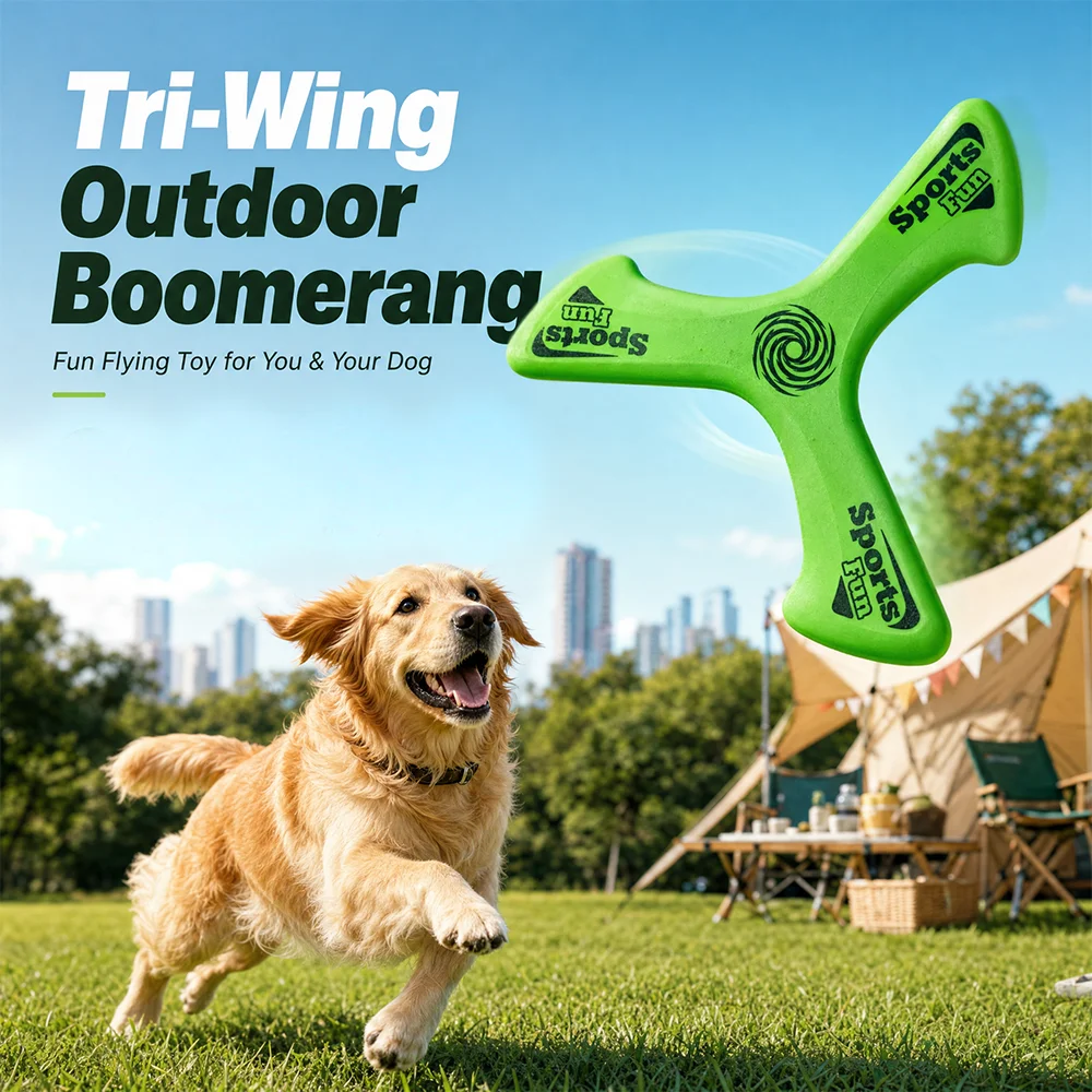 Outdoor Interactive Dog Boomer - đánh giá và giá Flying Disc Dog Training Toy