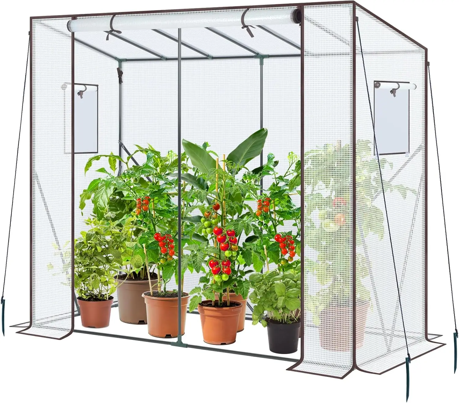 Portable Outdoor Tomato Greenhouse, Heavy Duty Lean-To Plastic Green House with Roll-Up Zippered Door, Tall Outside Plant Growing Shed Tent for Backyard, 6.6 x 2.5 x 5.6 FT