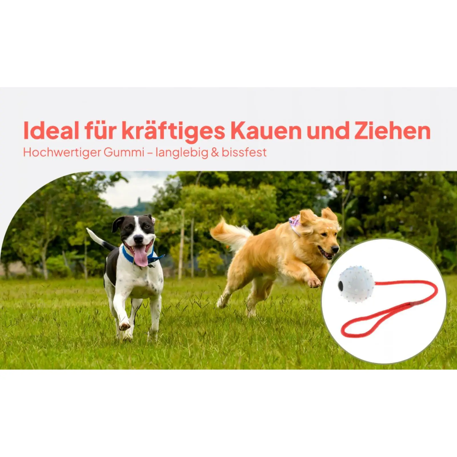 Pet Training Toy Soft Rubber Chew Ball Interactive Food Dispensing Treat Holder for Dog Gum Cleaning