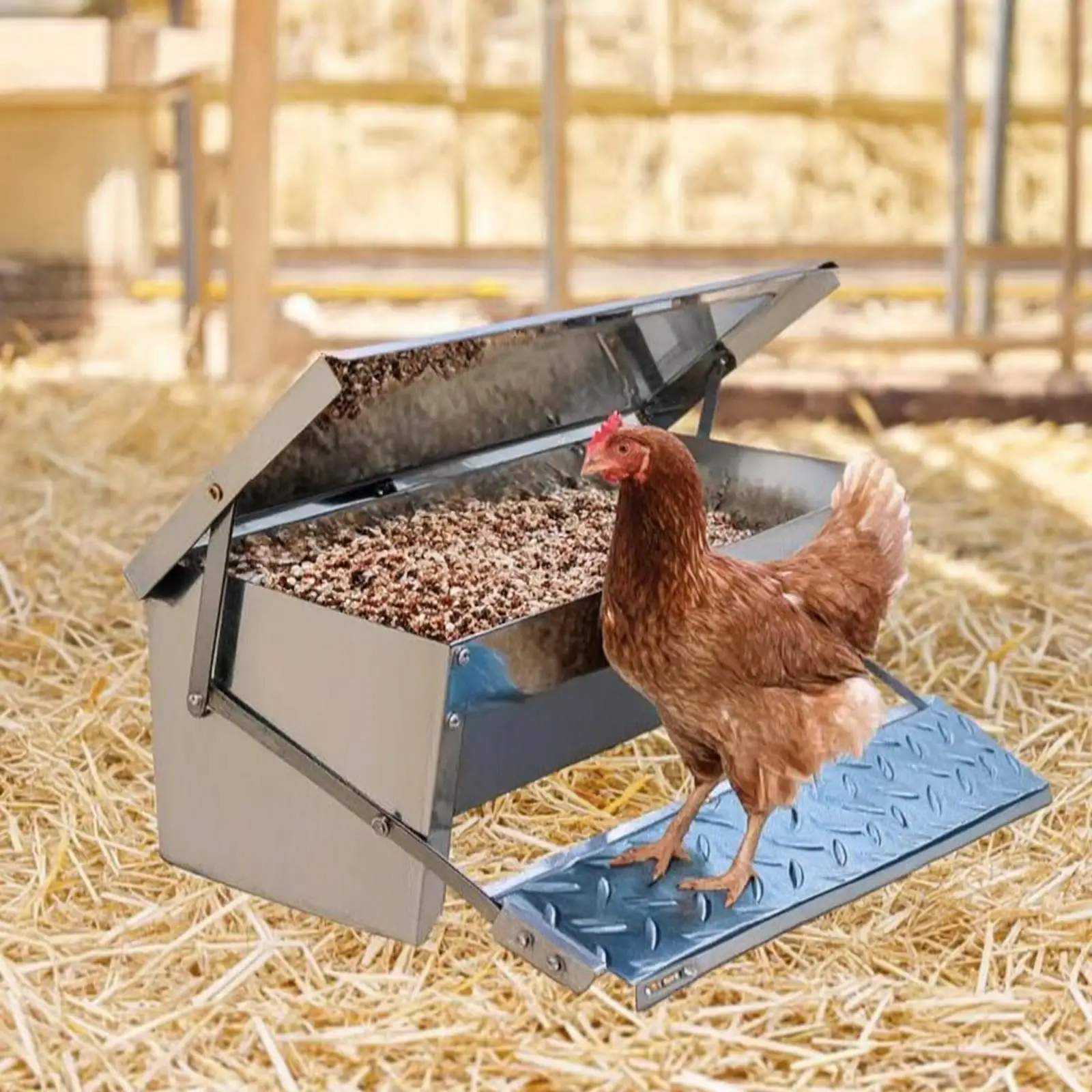 Automatic Poultry Feeder Trough Galvanized Steel Treadle Lid Chicken Feeding Container for Backyard Birds Outside view 5