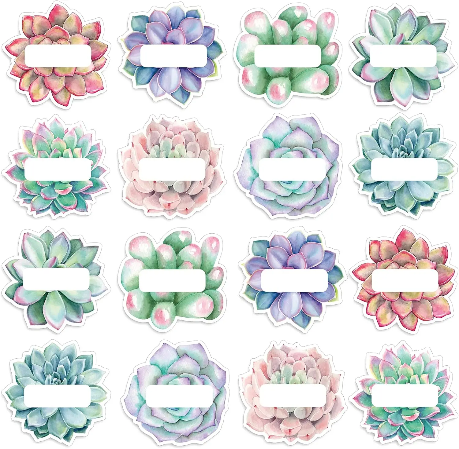 

80 Succulent Name Tag Stickers for Classroom Bulletin Board Decor with Rustic Bloom Design