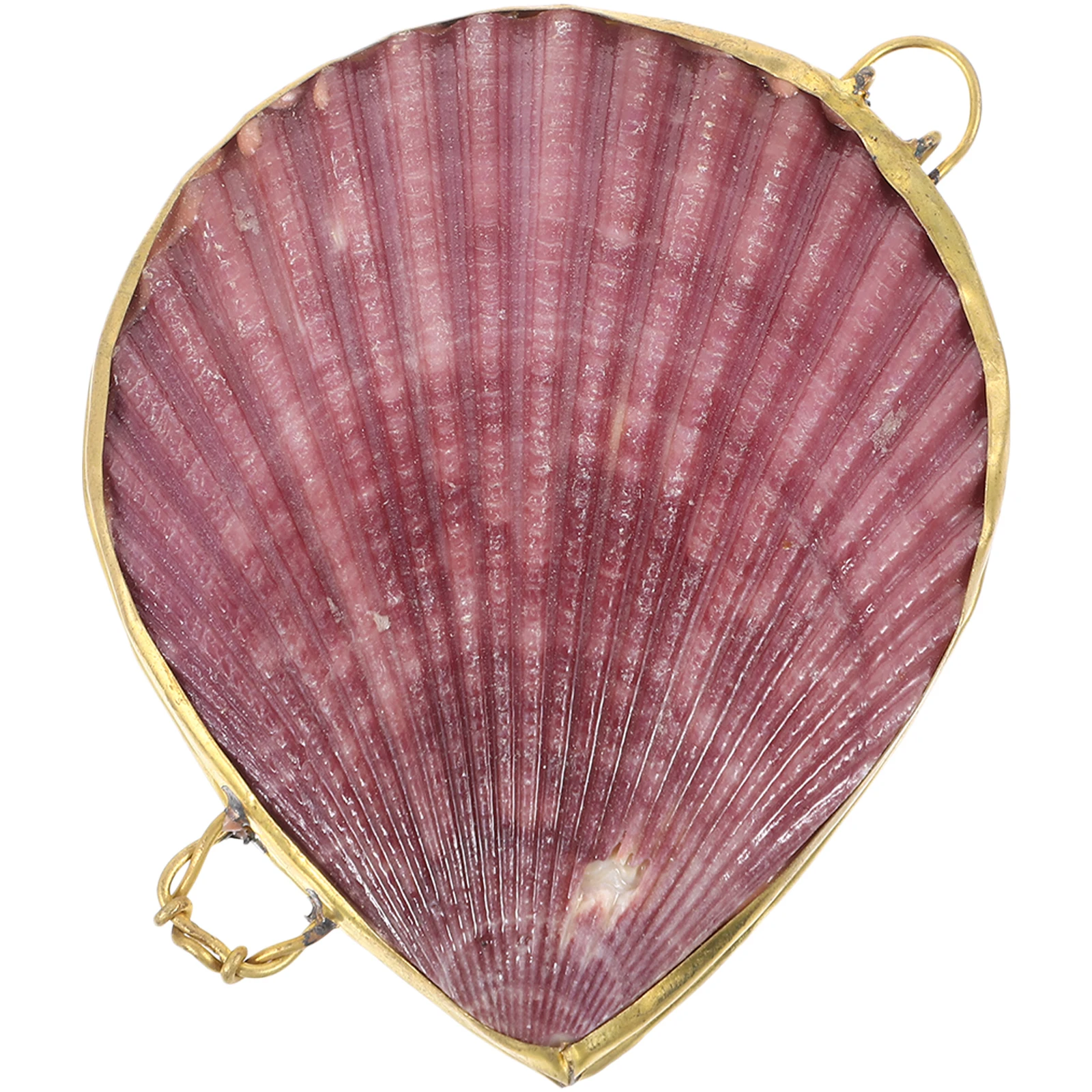 

Shell Shaped Jewelry Box Natural Color Storage Case for Earrings Trinkets Bracelets Sundries Container Oyster Pearl