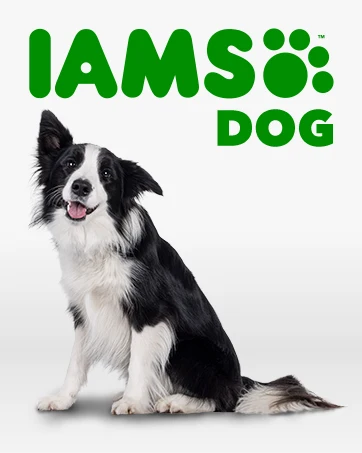 iams dog