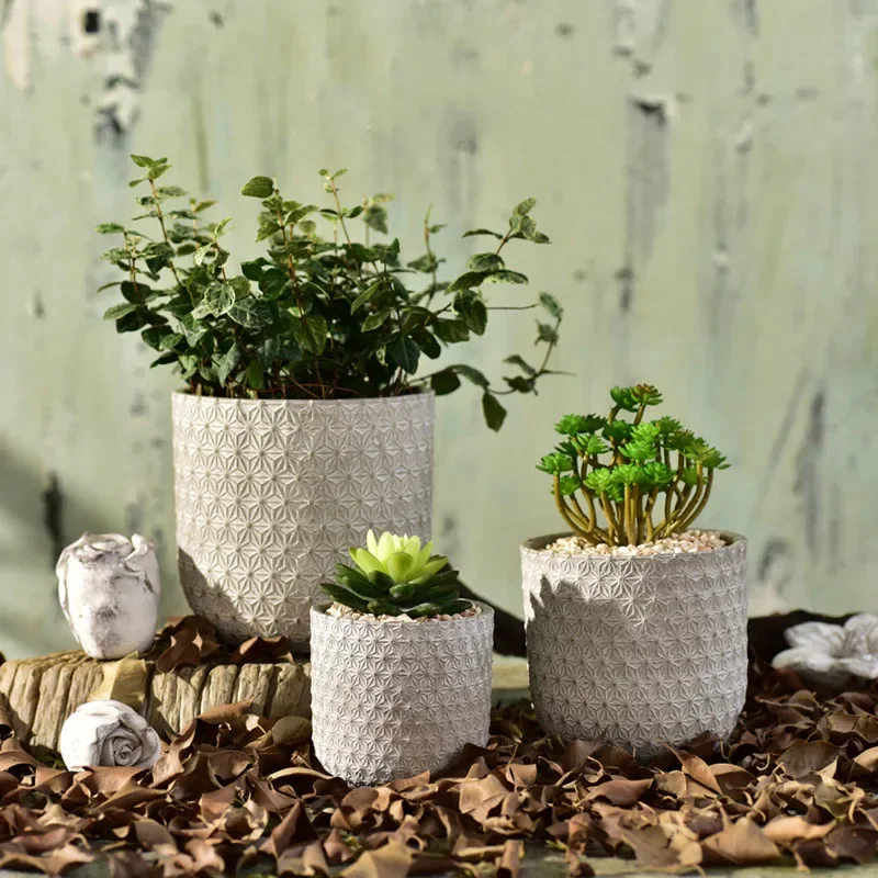 화분 금형 입체화 눈 콘크리트 시멘트 녹색 식물 폴리카리아 식물 실리콘 몰드의 3D 기하학적 질감