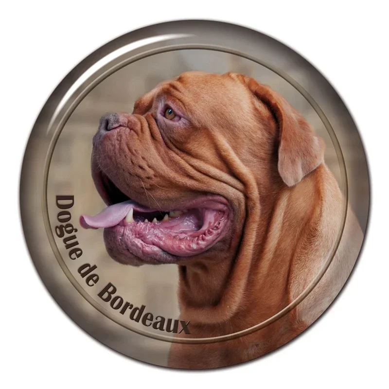 

Car bumper, rear window, laptop, car sticker decoration 13CM/17CM