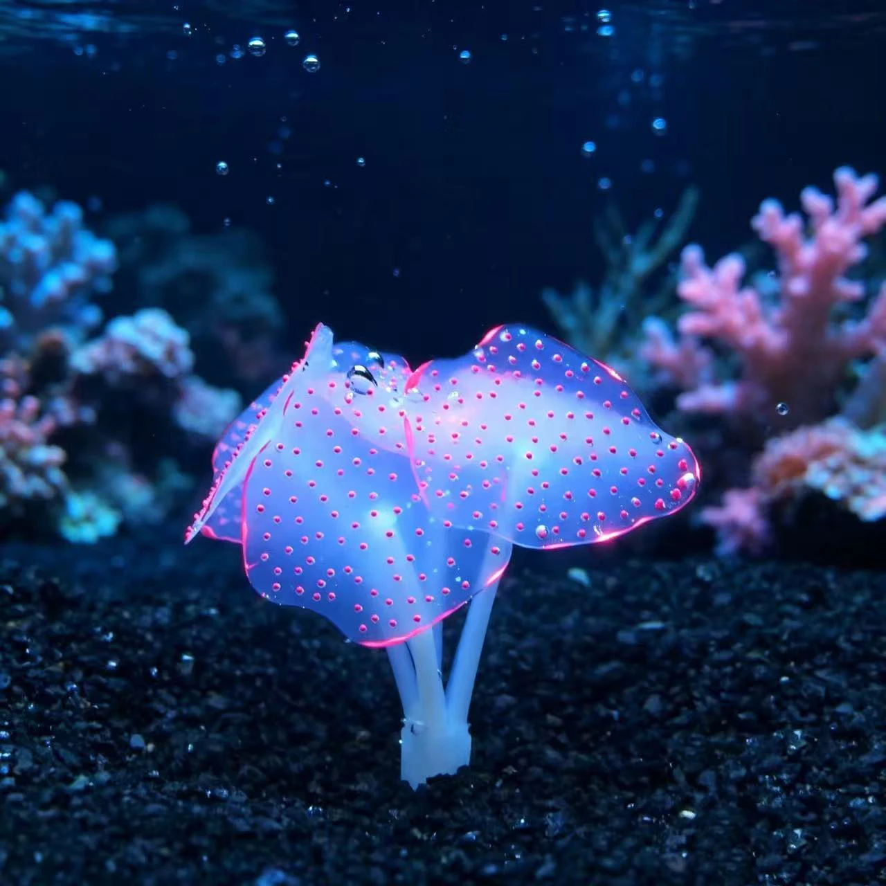 Simulation Aquatic Mushroom Coral Fluorescent Silicone Water Grass Fish Tank Landscape Aquarium Landscaping Home Decor