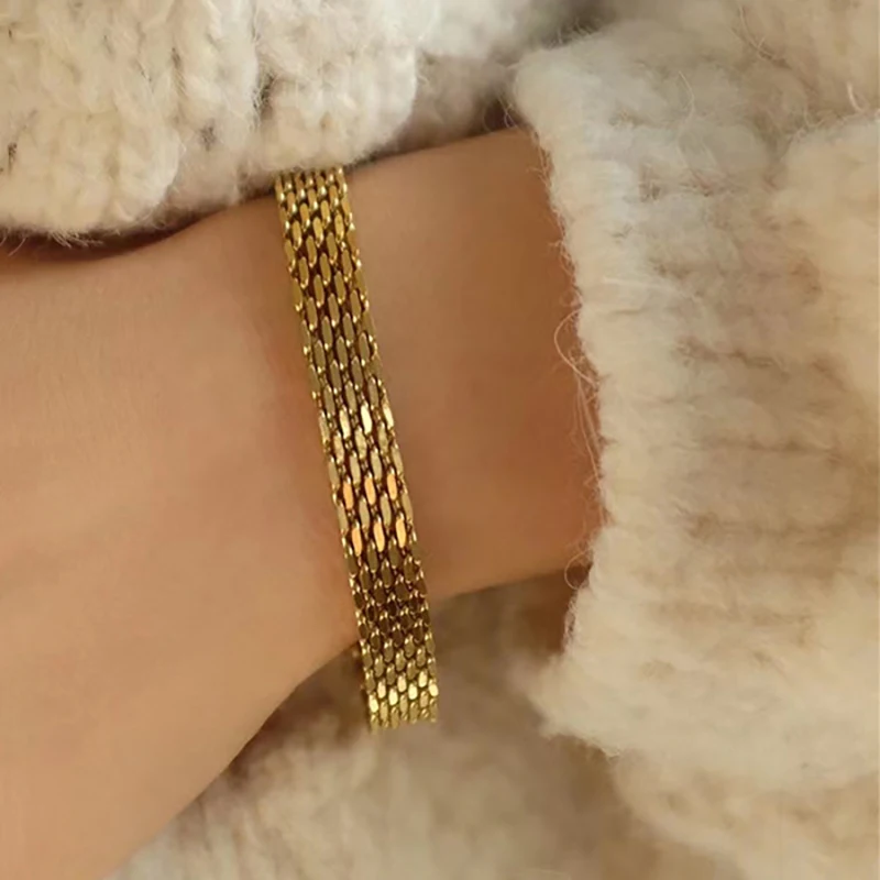 Gold Plated Titanium Steel Watch Belt Stacking Bracelet Necklace For Women Occident Metal Texture Bracelet Collar Jewelry Gifts image 2