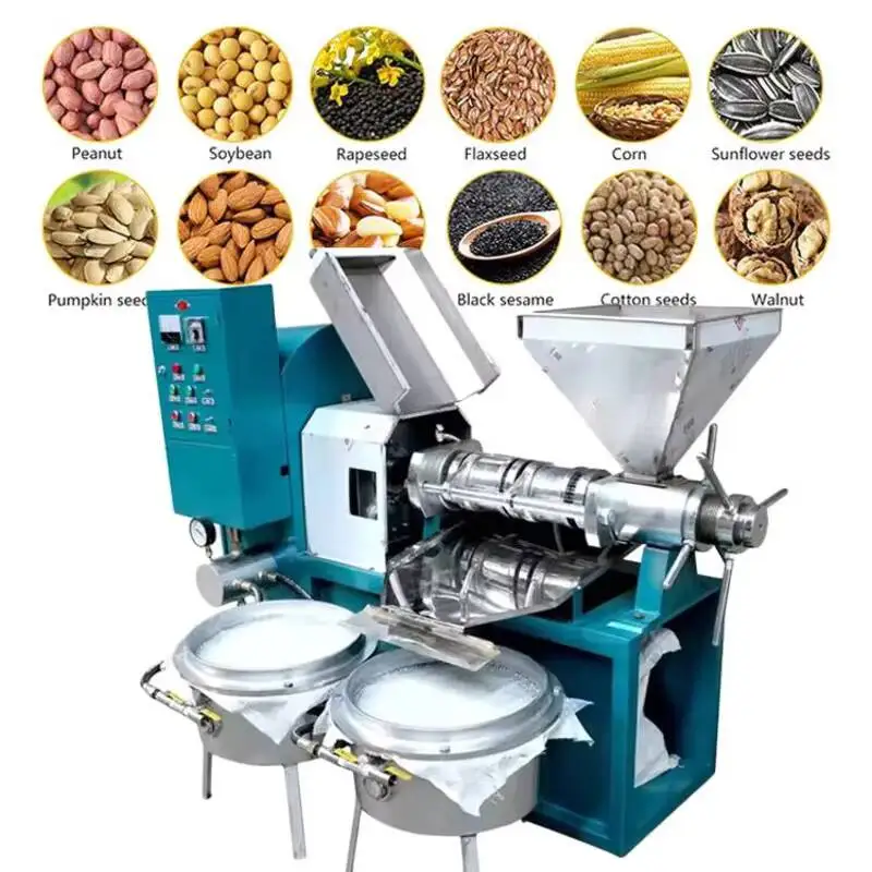 Small Business Soybean Rapeseed Peanut Automatic Screw Oil Press Machine Spiral Oil Press For Various Oil Crops