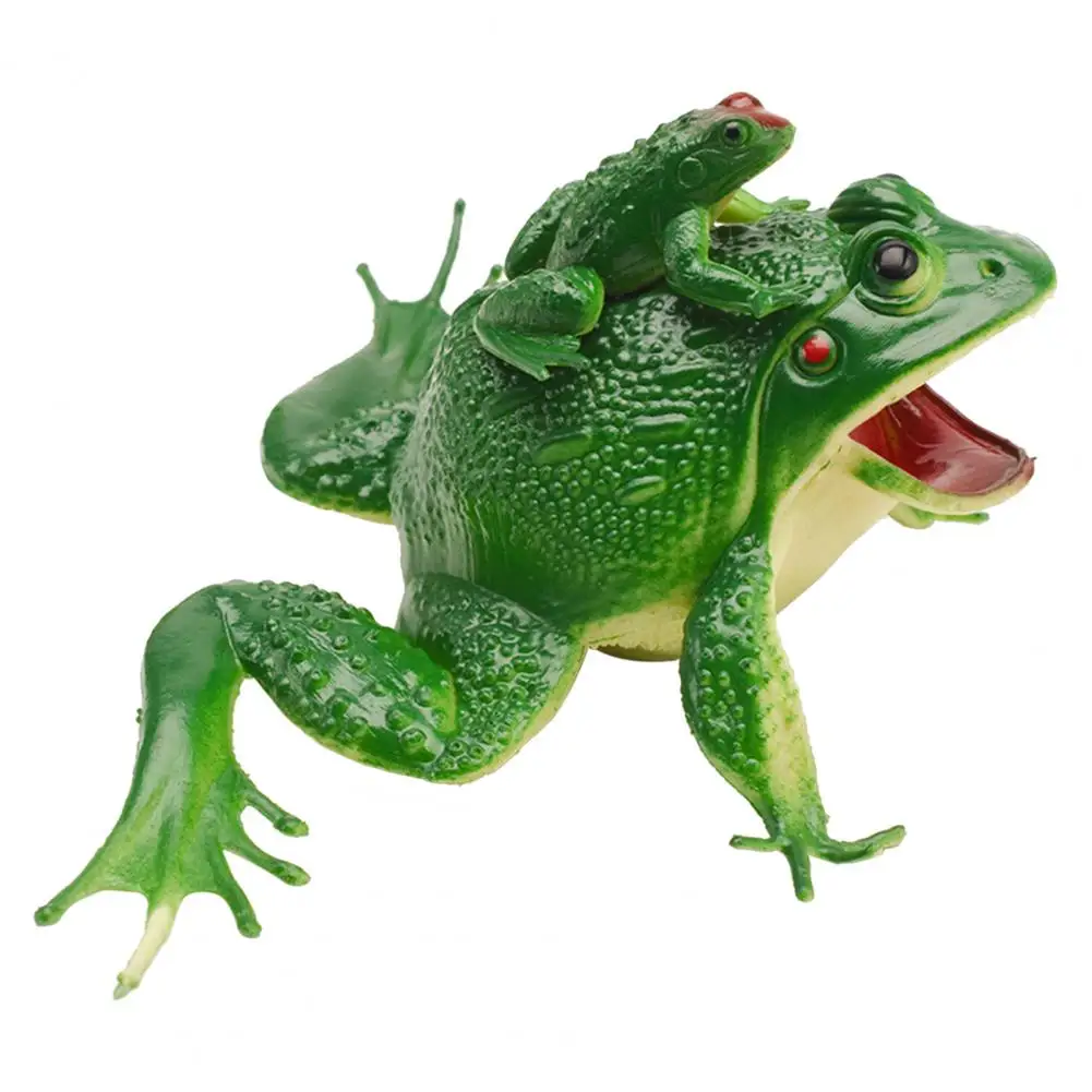 Figurines d'action de simulation de grenouille pour enfants, mère et fils, puzzle clair de Bergame, accessoires délicats pour les présentations, jouets modèles