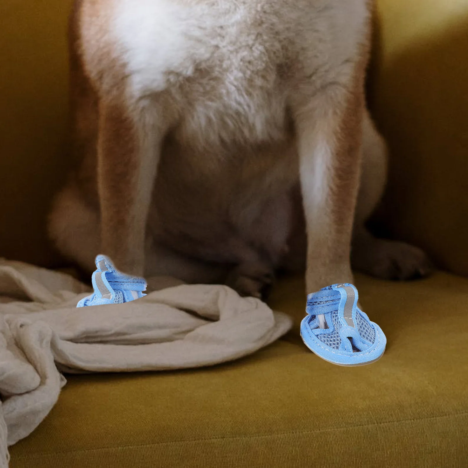 

4 Pcs Pet Sandals Dog Slippers Puppy Shoes for Summer Blue Breathable Mesh Dogs Bridegroom