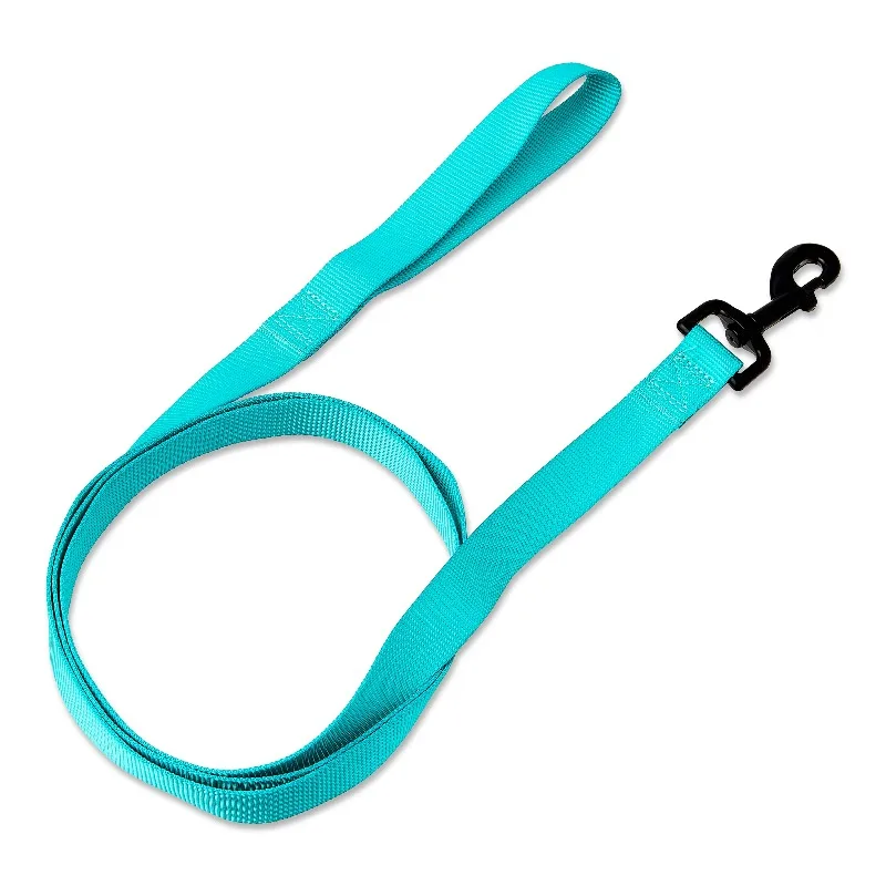 6' Polyester Standard Dog Leash, Teal