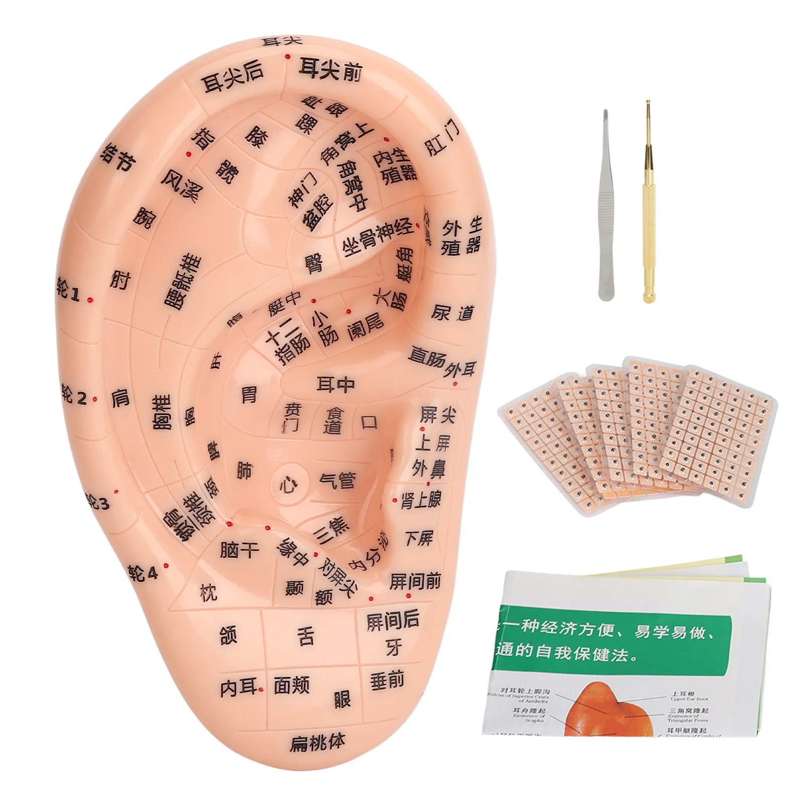 600pcs Ear Sticker Acupuncture Kit Ear Massage Sticker Acupuncture Model Tweezer Acupuncture Probe Pen Guide Chart Tools