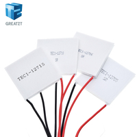 TEC1-12705 Thermoelectric Cooler Peltier TEC1-12706 TEC1-12710 TEC1-12715 40*40MM 12V Peltier Elemente Module