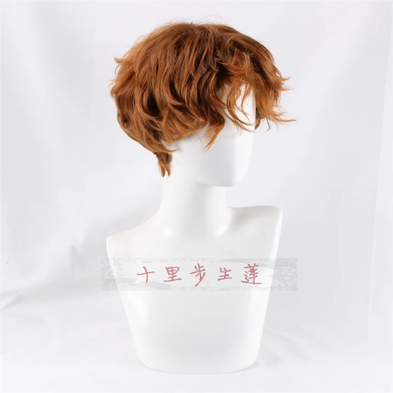 2 Colors Brief Cosplay Wig Harajuku Kawaii Lolita Gothic Sweet Fashion Brown Men's Short Curly Synthetic Hair + Wig Cap