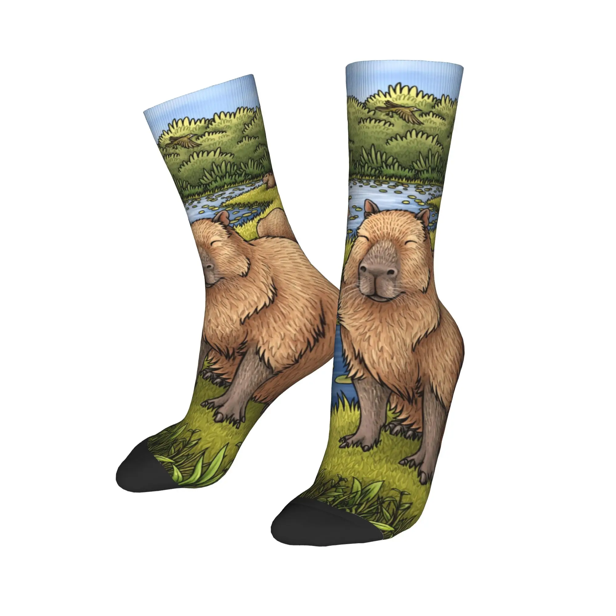 Lustige Strümpfe Capybaras Socken Damen Herren Warme weiche Skateboard Crew Socken
