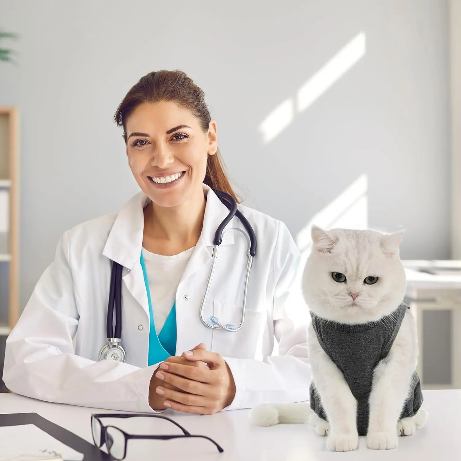cat rehabilitation suit, cat post-surgery onesie to protect abdominal wounds, cat post-operative anti-licking shirt