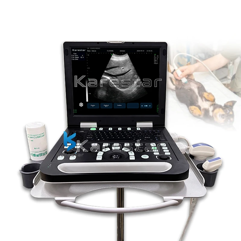 K-H302 Multi-function Ultrasound System Full Digital Ultrasonic Diagnostic Device Laptop Vet Ultrasound Portable