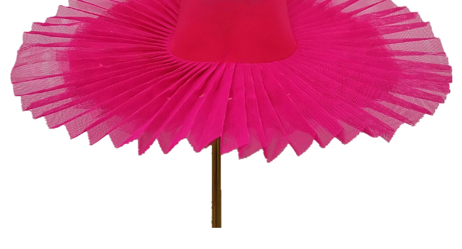 Roze Ballet Dans Tutu Rok Zwanenmeer Ballet Jurk Kinderen Prestaties Kostuum Kinderen Buik Kleding Stadium Professioneel