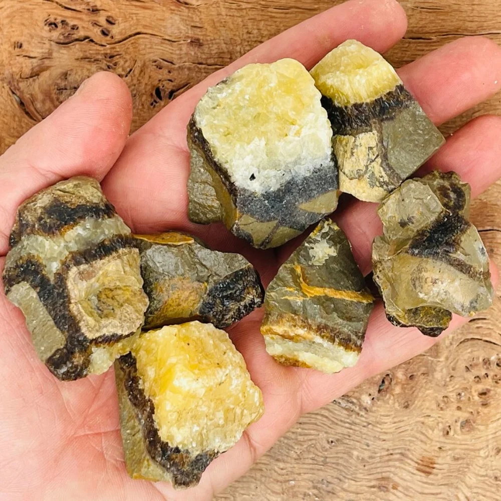 Natural Septarian Rough Stone Unpolished Raw Mineral Specimen Reiki Chakra Healing Energy Balancing for Decor & Collections