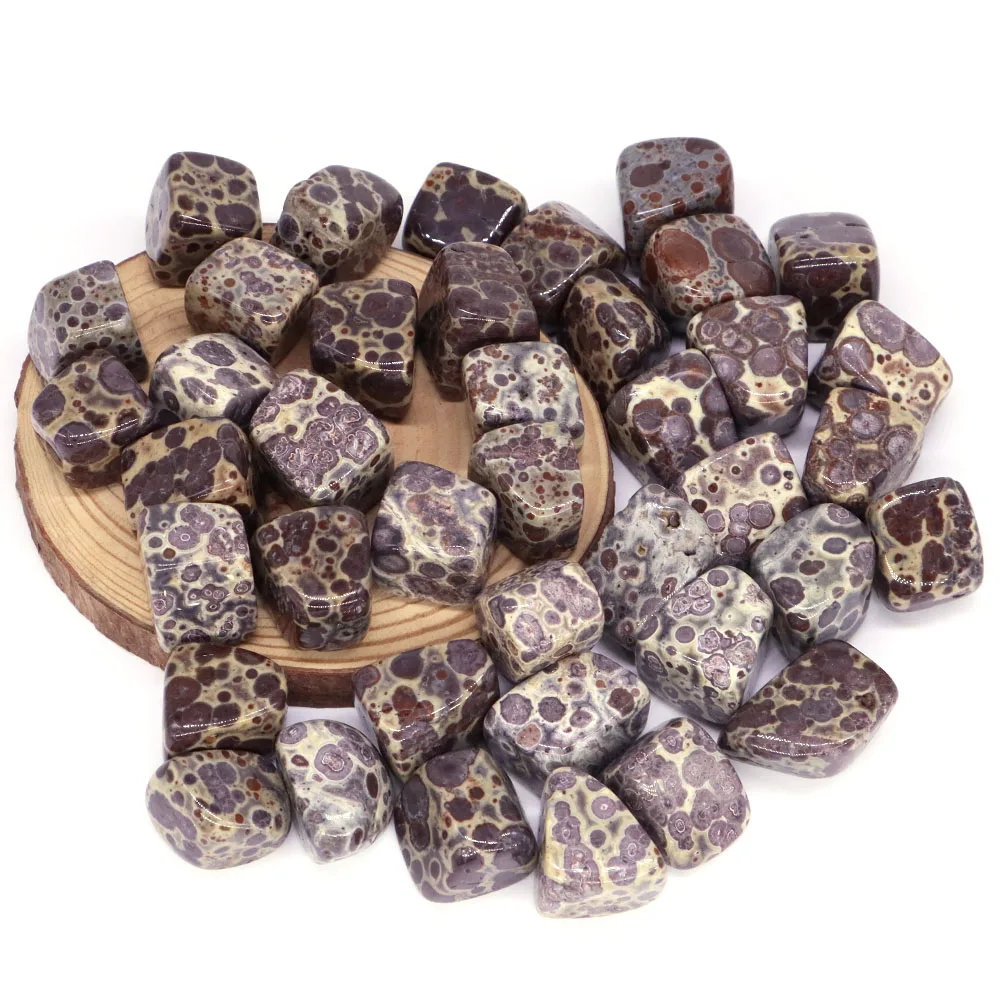 Afbeelding 6: Natuurlijke Bonte Sneeuwvlok Jasper Kristal Reiki Healing Tumbled Stone Minerale Bulk Edelstenen Home Decor Aquarium Aquarium Specimen