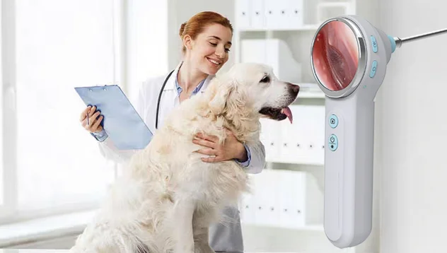 Veterinary LED Otoscope Portable Dog Cat Ear Check Device, Reusable Speculum Pet Clinic Diagnostic Equipment CE Approve